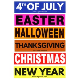 Tag-A-Room Holiday Color Coded Label Multi Pack (Multi Holiday)