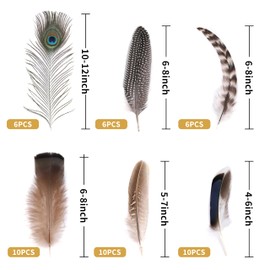 Holmgren 48pcs Natural Feathers Bulk - 6 Styles Assorted Peacock, Pheasant, Turkey Feathers for Craft DIY Jewelry Hat Wedding Home Party Decoration