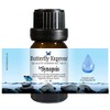 Le Synopsis Essential Oil Blend 10ml - 100% Pure -