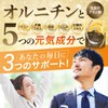 オルニチンの恵みプラス ２袋 1日でしじみ2,300個分オルニチン 肝臓エキス ウコン 牡蛎 しじみ 亜鉛含有酵母 国内製造 300ｍｇ×90粒(約15日分）×２袋