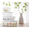 iwaki B3247-SNA1 Pack & Range Heat-Resistant Glass Storage Container, Shinzi