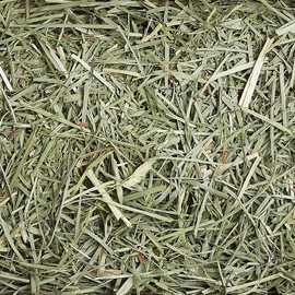 Sunsations Natural Timothy Hay, 793G (28 Oz)