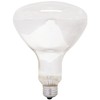 GE Lighting 21229 Soft White 300-watt R40 Light Bulb with