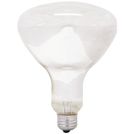 GE Lighting 21229 Soft White 300-watt R40 Light Bulb with Medium Base, 1-Pack