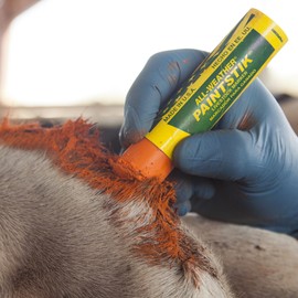 LACO All Weather Multi-Purpose Marker, "All Weather Painste 61023