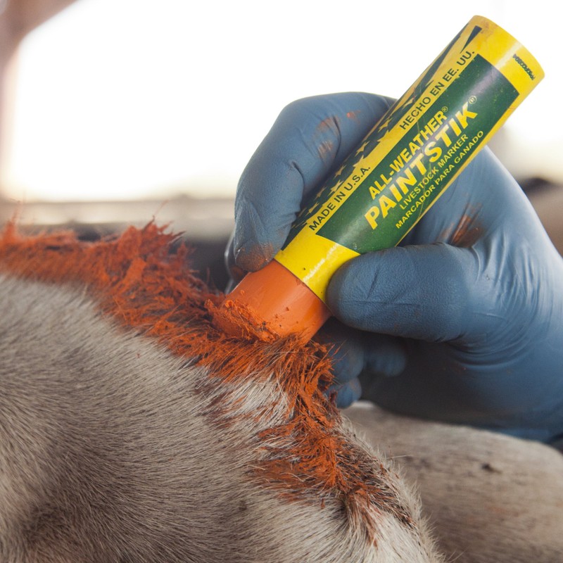 LACO All Weather Multi-Purpose Marker, "All Weather Painste 61023