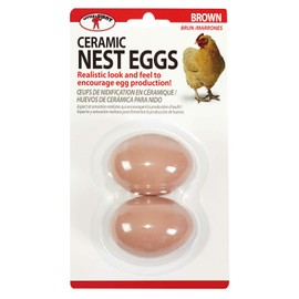 Little Giant Ceramic Nest Eggs (Brown) Artificial Eggs to Encourage Egg Production (Item No. CEGGBRN)
