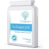 Co Enzyme Q10 CoQ10 300mg 60 Capsules - Superior Naturally