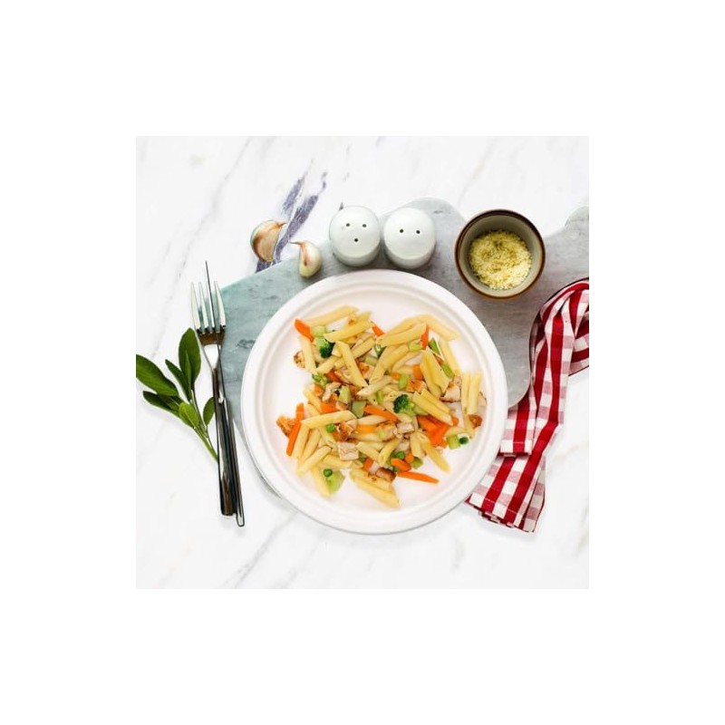 PRISTINE ENTERPRISE Disposable Plates - 9 Inch Rigid Biodegradable and