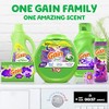 Gain flings Laundry Detergent Soap Pacs, HE Compatible, Long Lasting