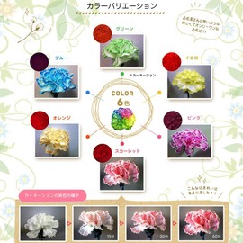 フラワーパレット 切り花染色剤 自由研究 フラワーアレンジメント プレゼント (スカーレット)