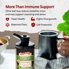 Barlean's Peppermint Olive Leaf Complex Liquid Immune Support Supplement, 95mg