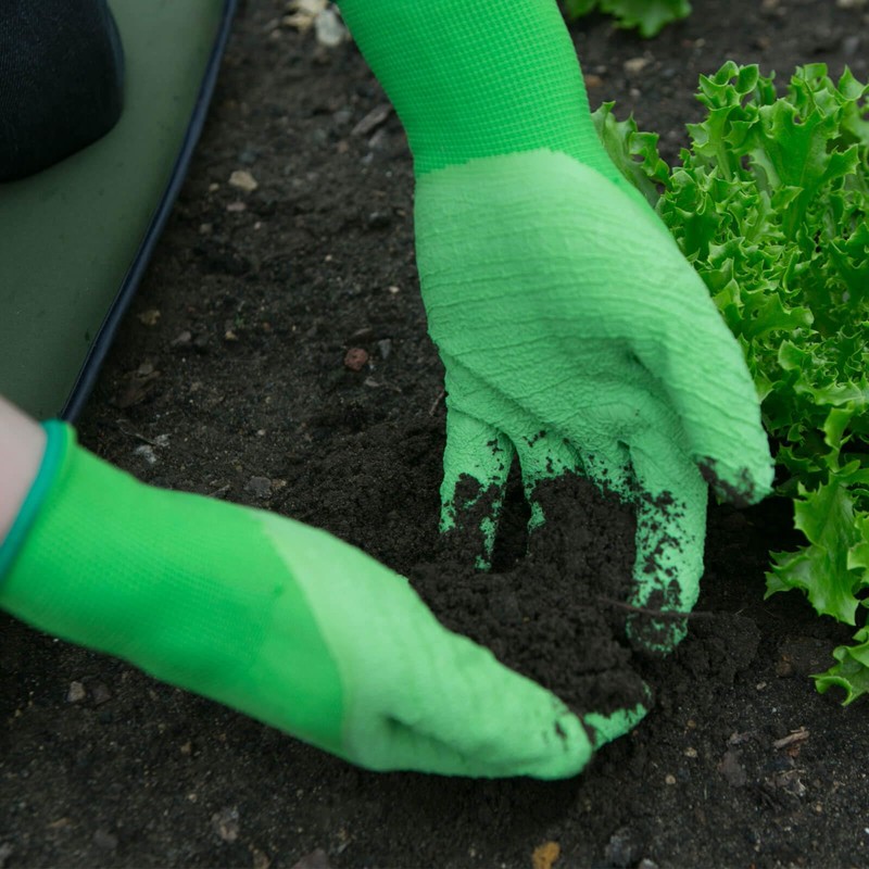 T&C Master Gardner Lite Medium