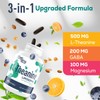 CyberCerix Liposomal L-Theanine 500mg, Complex with GABA 200mg & Magnesium