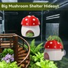 3D Red Mushroom House Reptile Hides and Caves, Reptile Hideout