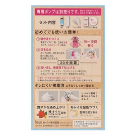 Bigenbigen Pump Color Refill 5 Gray Hair Dye Refill