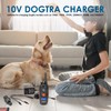 for Dogtra Charger Replacement for use with Several Dogtra Models,