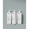 Shampoo Restructure Revitaliza Framesi Morphosis 1000 Ml