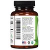 Green Tea Extract Capsules - 3X Strength Green Tea Extract