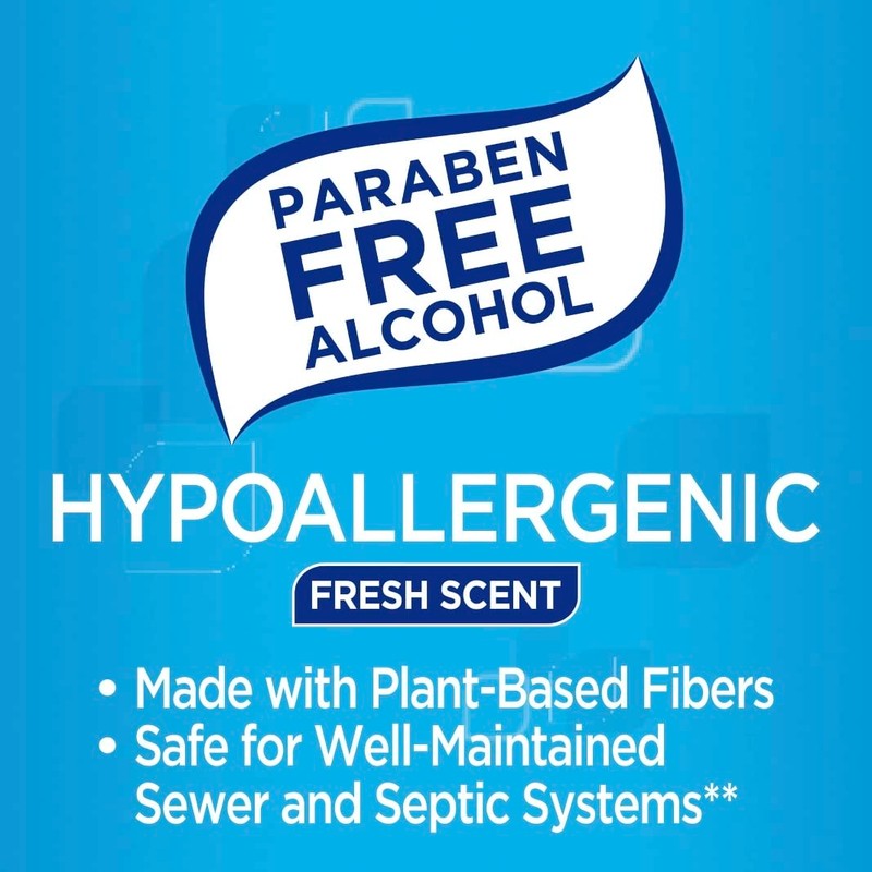 Equate Flushable Wipes, Fresh Scent, 240 Ct