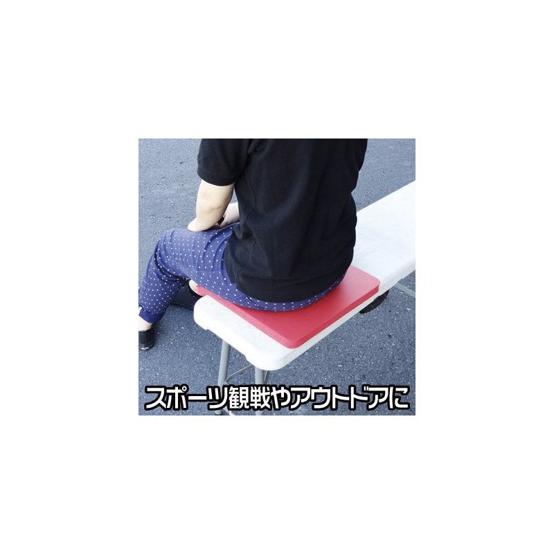 ASTRO PRODUCTS 03-05998 Cushion Sheet, Red 03-05998