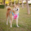 PHOEPET No Pull Dog Harness, Unique Colors Reflective Adjustable Dog