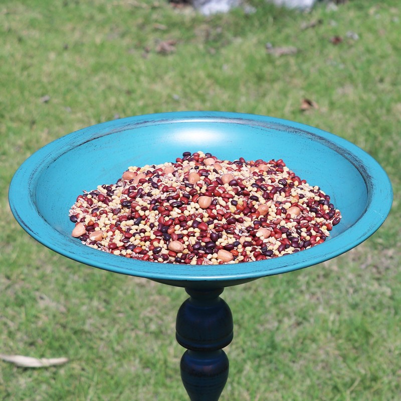 AIHAOKAN 26.6”H×12.3" W Cast Iron Pedestal Bird Bath，Metal Birdbaths Bird