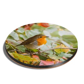 1 x Round Coaster - Cute Red Robin Bird Garden Winter Cork Backed MDF Glossy Tea Coffee Accessory #14318