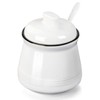 HAOTOP Porcelain Salt Bowl with Lid and Spoon,Ceramic Sugar Bowl