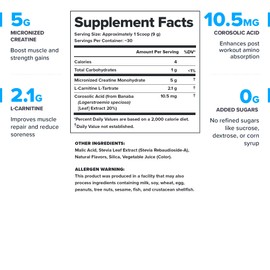 LEGION Recharge Post Workout Supplement - All Natural Muscle Builder & Recovery Drink with Micronized Creatine Monohydrate. Naturally Sweetened & Flavored, Safe & Healthy (Watermelon, 30 Serve)