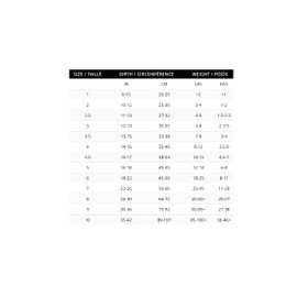 Buddy Belt S Harness Pebble Grain Red - Edición Premium (5)