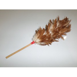 Real Chicken hen's Feather Duster 14 inch Long Total Length, The Feather Area 8 inch