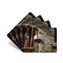 Julian Friers Barn Owl in Doorway Large Table Mats by Wildlife Artist Set of 4 - Non-slip - Cork-backed Placemat Set