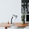 Classic Desk Lamp with a Versatile Flexible Neck, and Integral