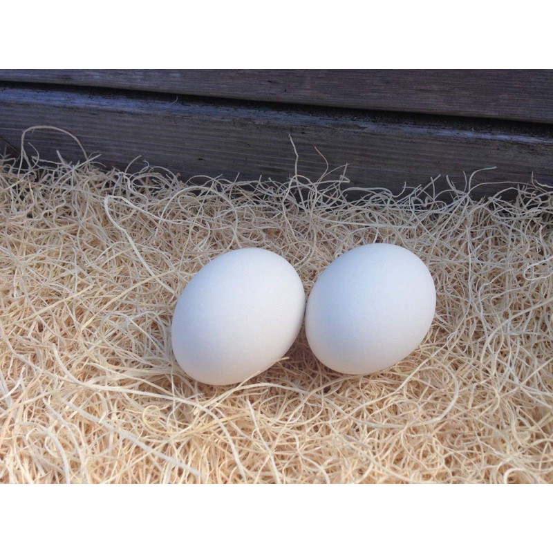 Ceramic Chicken Nesting Eggs (White) - Fake Training Eggs for