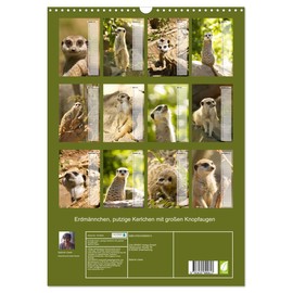 Erdmännchen, putzige Kerlchen mit großen Knopfaugen (Wandkalender 2025 DIN A3 hoch), CALVENDO Monatskalender [Calendar] Sabine Löwer