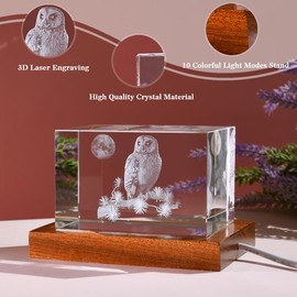 ZRENJHUS 3D OWL Figurines Glass Laser Crystal Block with 10 Colorful Light Modes Stand Decorative OWL Night Light Glass Decor Gift for Kids Teens