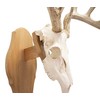 Walnut Hollow Country Reversible Skull Mount Kit in Oak for