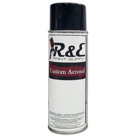 R&E Paint Supply Compatible with Hyundai T9U, Clearwater Blue Metallic Automotive Paint, 11oz Aerosol