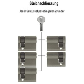 5x Half Cylinder Adjustable 40 mm 30/10 Simultaneous Locking Including 25 Keys