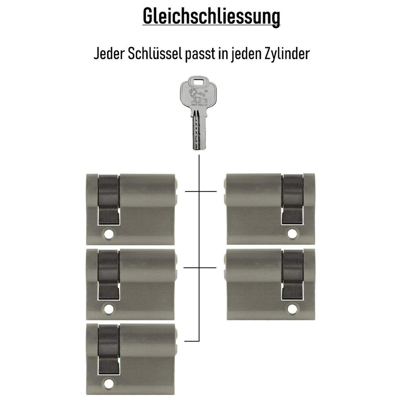 5x Half Cylinder Adjustable 40 mm 30/10 Simultaneous Locking Including
