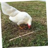 BESPORTBLE Artifact for Chicken Catching Accessories for Chicken Coops, Chicken