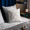 DEZENE Gold Velvet Throw Pillow Covers Off White: 2 Pack