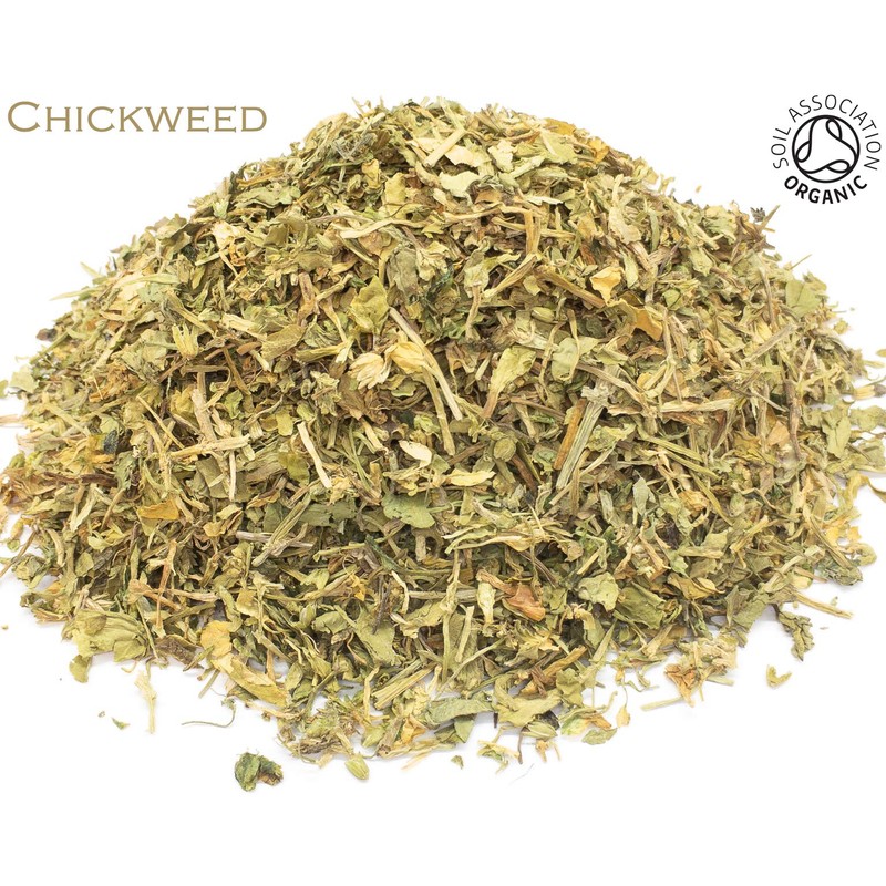 Organic Chickweed Pure Herbal Infusion (25 Unbleached Tea Bags -