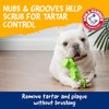 Fetch For Pets Arm Hammer Control de sarro Hueso-Tyrannosaurus Rex