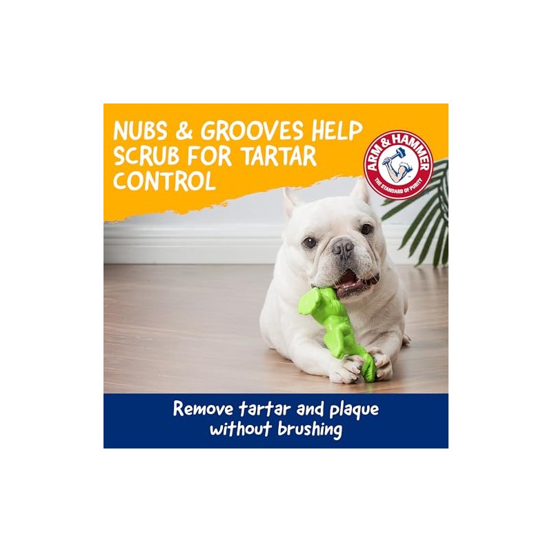 Fetch For Pets Arm Hammer Control de sarro Hueso-Tyrannosaurus Rex