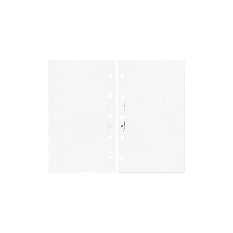 Mini 5 Size Memory Foam 100 [Plain] M5 System Organizer