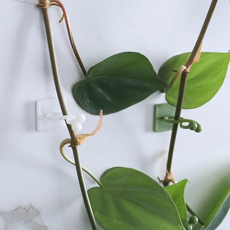 plant climbing wall fixture clips