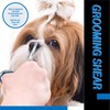 Laazar Pro dog grooming scissors, Straight Pet grooming shears, with