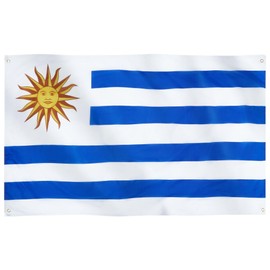 Runesol Uruguay Flag, 91x152cm, 3ft x 5ft, 4 Grommets, Eyelet In Every Corner, Uruguayan Flag, República Oriental Del Uruguay, Oriental Republic of Uruguay, Premium Flags, Inside, Outside, Epiphany